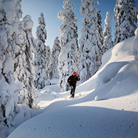 Nordkarelien in Winter © Harri Tarvainen/Visit Karelia