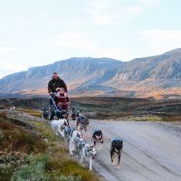 Schlittenhundefahrt im Sommer © Matias Fosso/Visit Norway