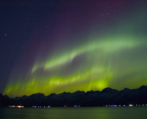 Northern Lights in Lofoten, Northern Norway