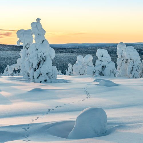 Winter Landschaft ©Markus Kiili - Visit Finland