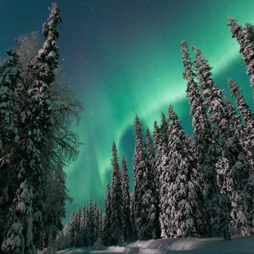Nordlichter über dem verschneiten Wald © Hannes Becker/Visit Finland