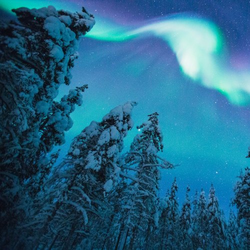 Nordlichter © Kakslauttan Arctic Resort