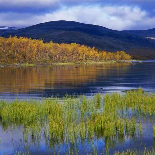 Finnland Seenlandschaft