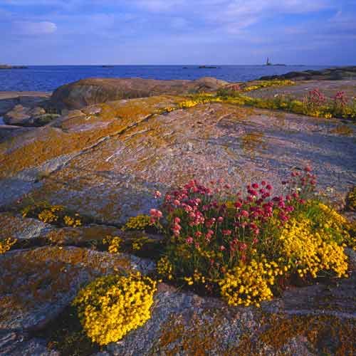 Küste Finnlands
