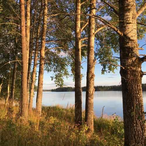 Sininen-Helmi-Kiuruvesi