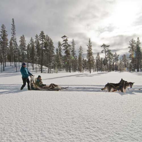 Hundeschlittentour © Innovation Norway