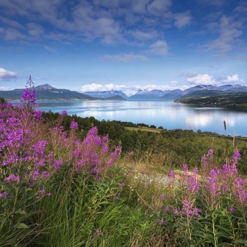 Lyngen Alpen