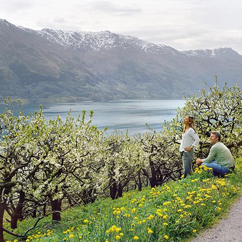 Hardangerfjord