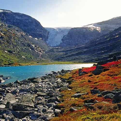 Fjord und Gletscher
