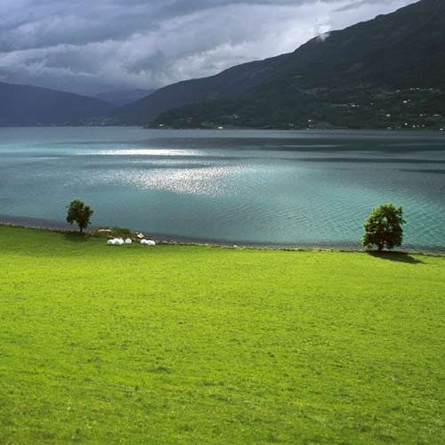 Sognefjord in Norwegen