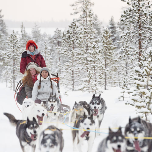 Hundeschlittentour durch Nordschweden © Anna Öhlund