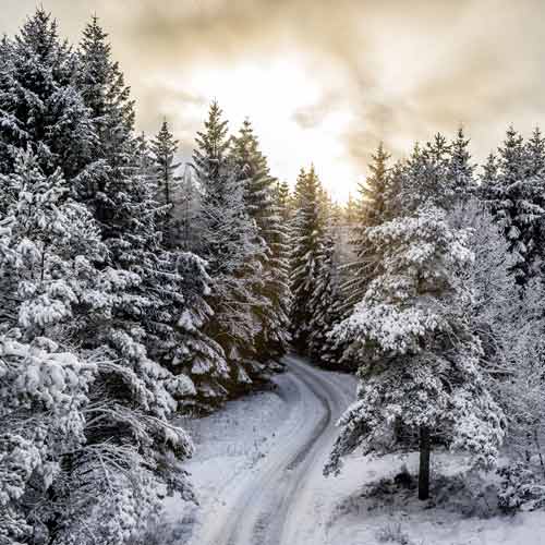 imagebanksweden.se-per_pixel_petersson-winter_landscape-5604