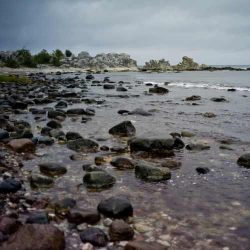 Imagebank_Sweden-tuukka_ervasti-vitvaer_near_ljugarn