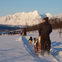 Husky-Safari © Best Arctic