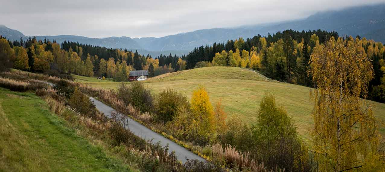 Norway ProTravel Bild