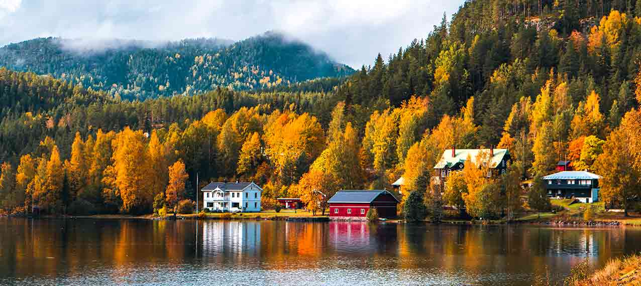 Norway ProTravel Bild