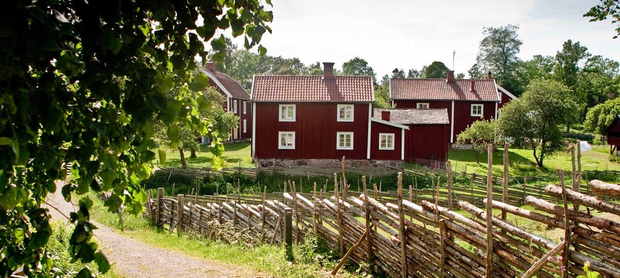 Norway ProTravel Bild