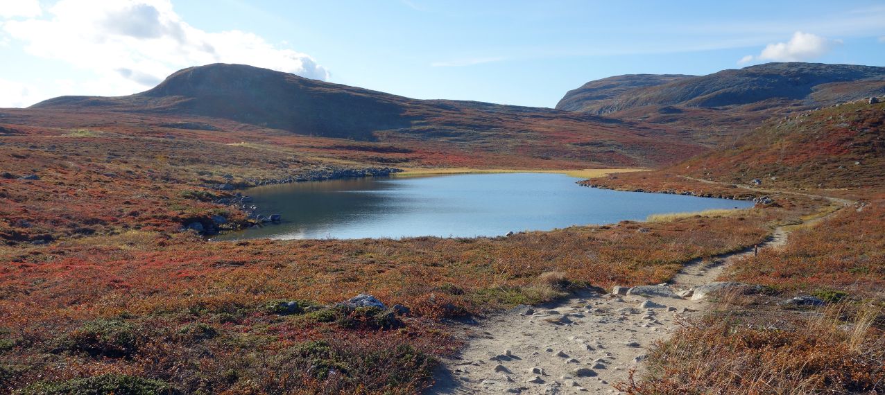 Norway ProTravel Bild