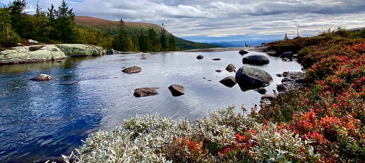 Norway ProTravel Bild