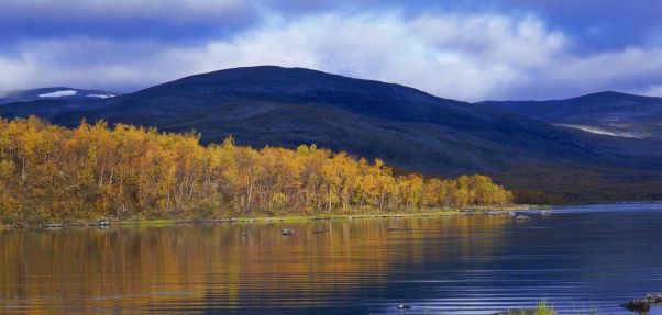 Norway ProTravel Bild Norway ProTravel Bild