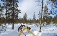 Norway ProTravel Bild