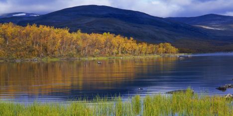 Finnland Seenlandschaft
