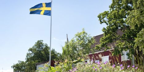 Reisen entlang der Fjorde