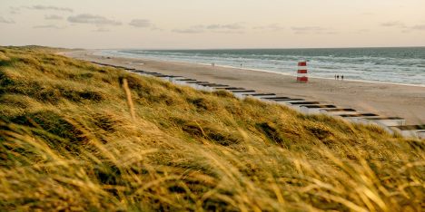 Dänemark Strand Lökken